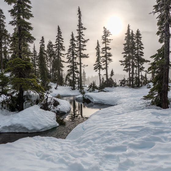 British Columbia During Winter